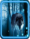 waptrick.one Wolves Nightlive Wallpaper