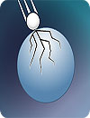 waptrick.one Shatterbrain Physics Puzzles