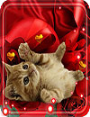 waptrick.one Valentine Kitty