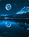 waptrick.one Blue Moon Live Wallpaper HD