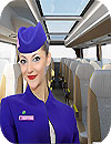 waptrick.one Virtual Girl Tourist Bus Waitress Job Dream Job