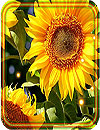 waptrick.one Sunflowers Summer Live Wallpaper