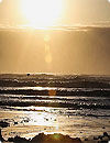 waptrick.one Sunny Ocean Waves Live HD