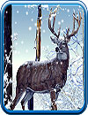 waptrick.one Winter Forest Live Wallpaper