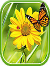 waptrick.one Flowers 3D Parallax Background