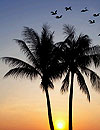 waptrick.one Day Night Multi Live Wallpaper