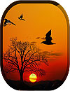 waptrick.one Sunset Live Wallpaper