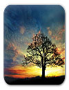waptrick.one Sunset Hill Free Live Wallpaper