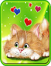 waptrick.one Funny Cat Live Wallpaper