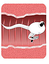 waptrick.one Sperm Game