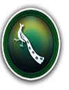 waptrick.one Nice Peacoke C Launcher