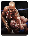 waptrick.one Real Wrestling 3D