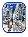 waptrick.one Winter Landscapes Blackbird