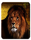 waptrick.one Lions Lwp