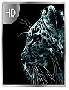 waptrick.one Cool Wallpapers