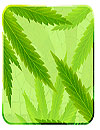 waptrick.one Maryjane Wallpaper