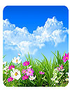 waptrick.one Flower Spring