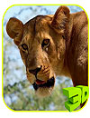 waptrick.one Animals of Africa