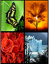 waptrick.one Photo Wall FX