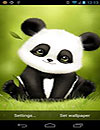 waptrick.one Panda Bobble Head