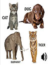 waptrick.one Animal Sounds App For Kids