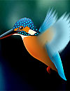 waptrick.one King Fisher