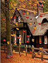 waptrick.one Autumn Leaf
