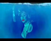 Car Wash [shark Tale Mix] Video Clip