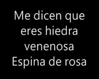 Espina De Rosa Only Lyrics Video Clip