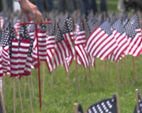 Memorial Day Flags