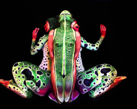 Johannes Stoetter s Human Frog