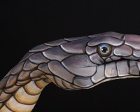 Hands Snakes Body Painting
