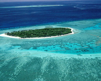 Great Barrier Reef Ocean Coral Sea