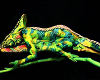 Fine Art Bodypainting By Johannes Stotter