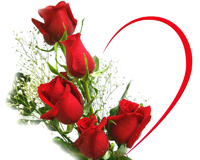 Roses And Heart