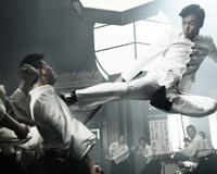 Donnie Yen In Air