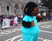 Celebrate Aberdeen Parade 2015