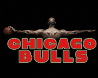 Micheal Jordan And Chicago Bulls
