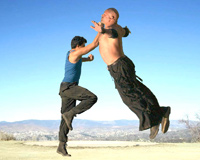 Dragon Punch