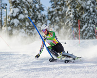 Skiing The Winter Sports