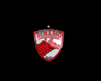 Dinamo Bucuresti Logo