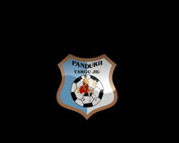 Pandurii Targu Jiu Logo