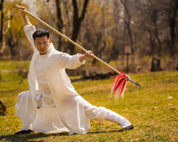 Kung Fu Master Exercise