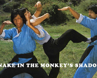 Snake I The Monkey's Shadow