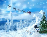 Xmas 231