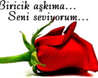 turkish rose 2