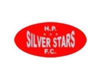 Silver Stars The Lions Of The North
