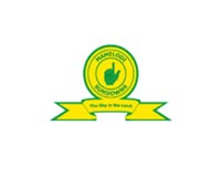 Mamelodi Syndowns The Brazilians