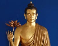 Lotus Hall Buddha