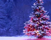 Christmas Lights Tree Xmas
